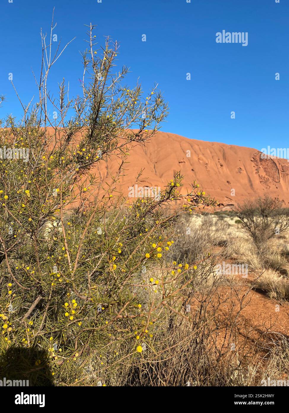 Uluru, NT Australia - Smartphone Captured Stock Image
