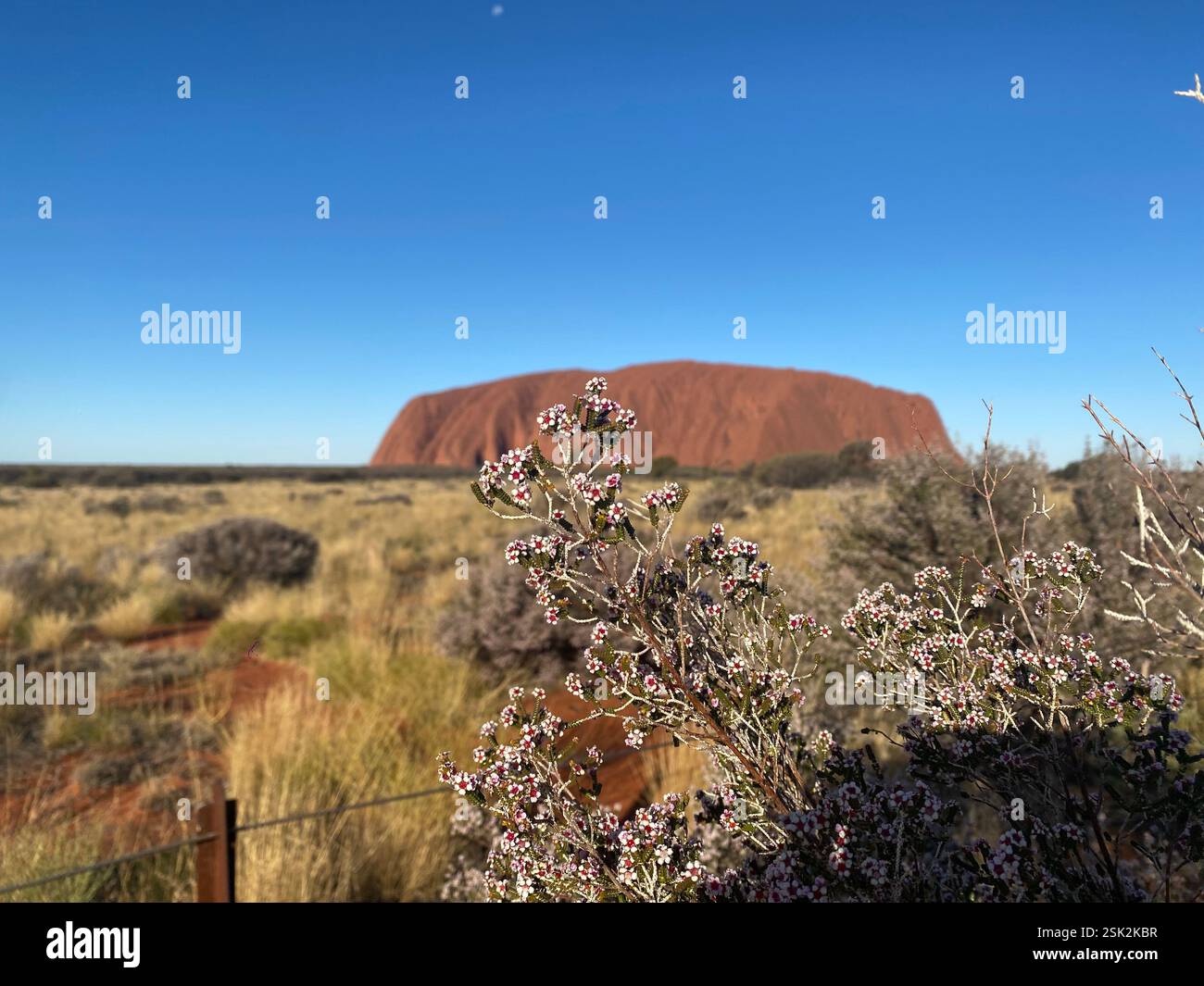Uluru, NT Australia - Smartphone Captured Stock Image