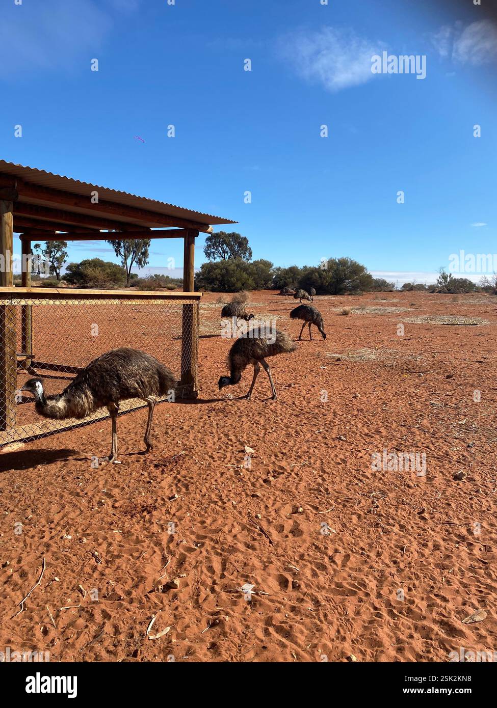 Uluru, NT Australia - Smartphone Captured Stock Image