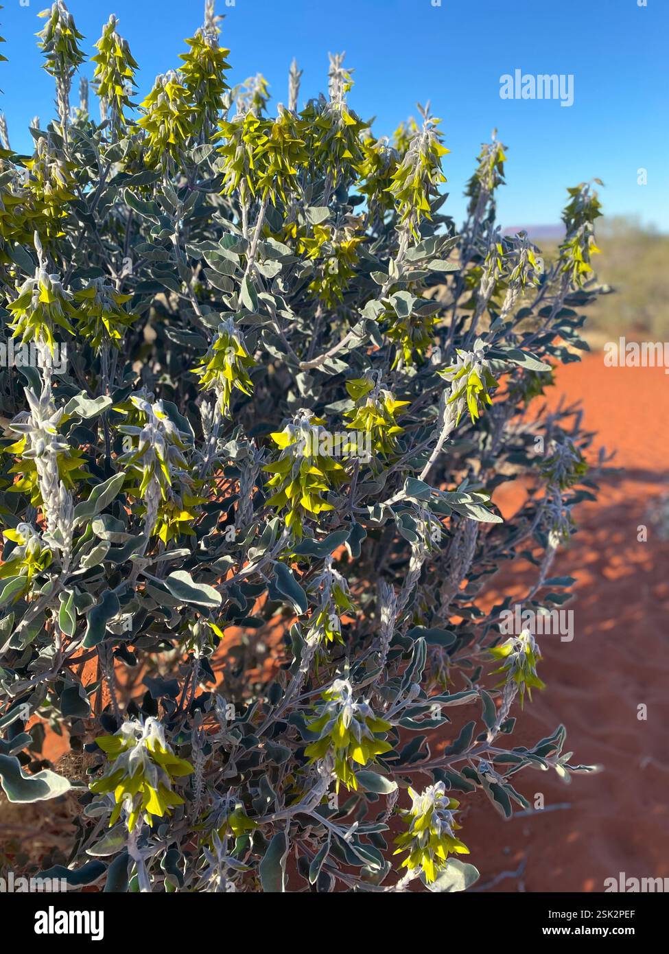 Uluru, NT Australia - Smartphone Captured Stock Image