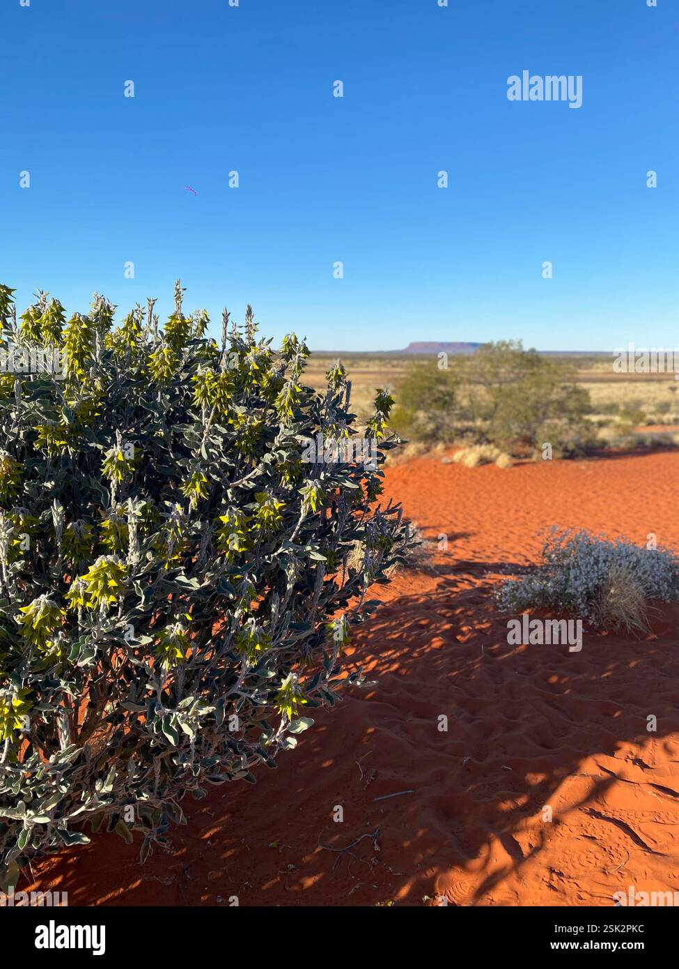 Uluru, NT Australia - Smartphone Captured Stock Image