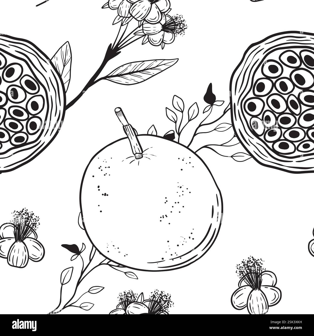 Line art designs of fruits Black and White Stock Photos & Images - Alamy