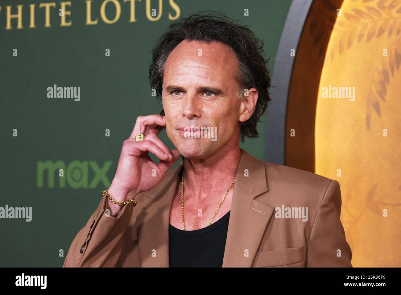 Los Angeles, USA. 11th Feb, 2025. Walton Goggins arrives at the Los