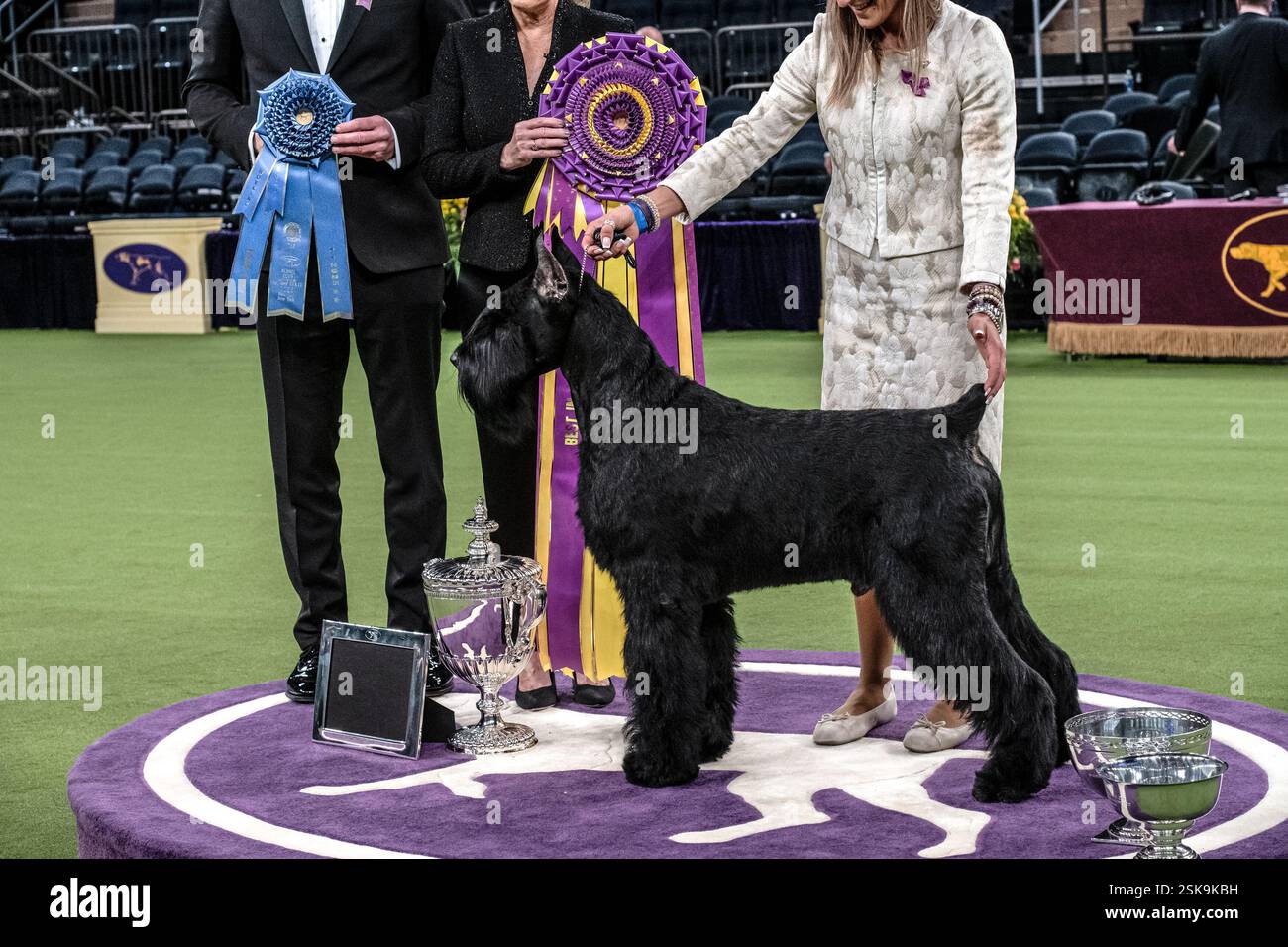 Monty, the Giant Schnauzer wins Best in at The 2025 Westminster Kennel Club Dog