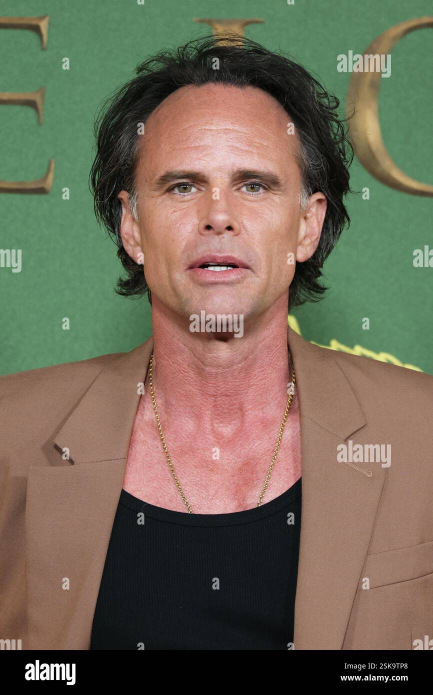 Los Angeles, USA. 11th Feb, 2025. Walton Goggins arrives at the Los