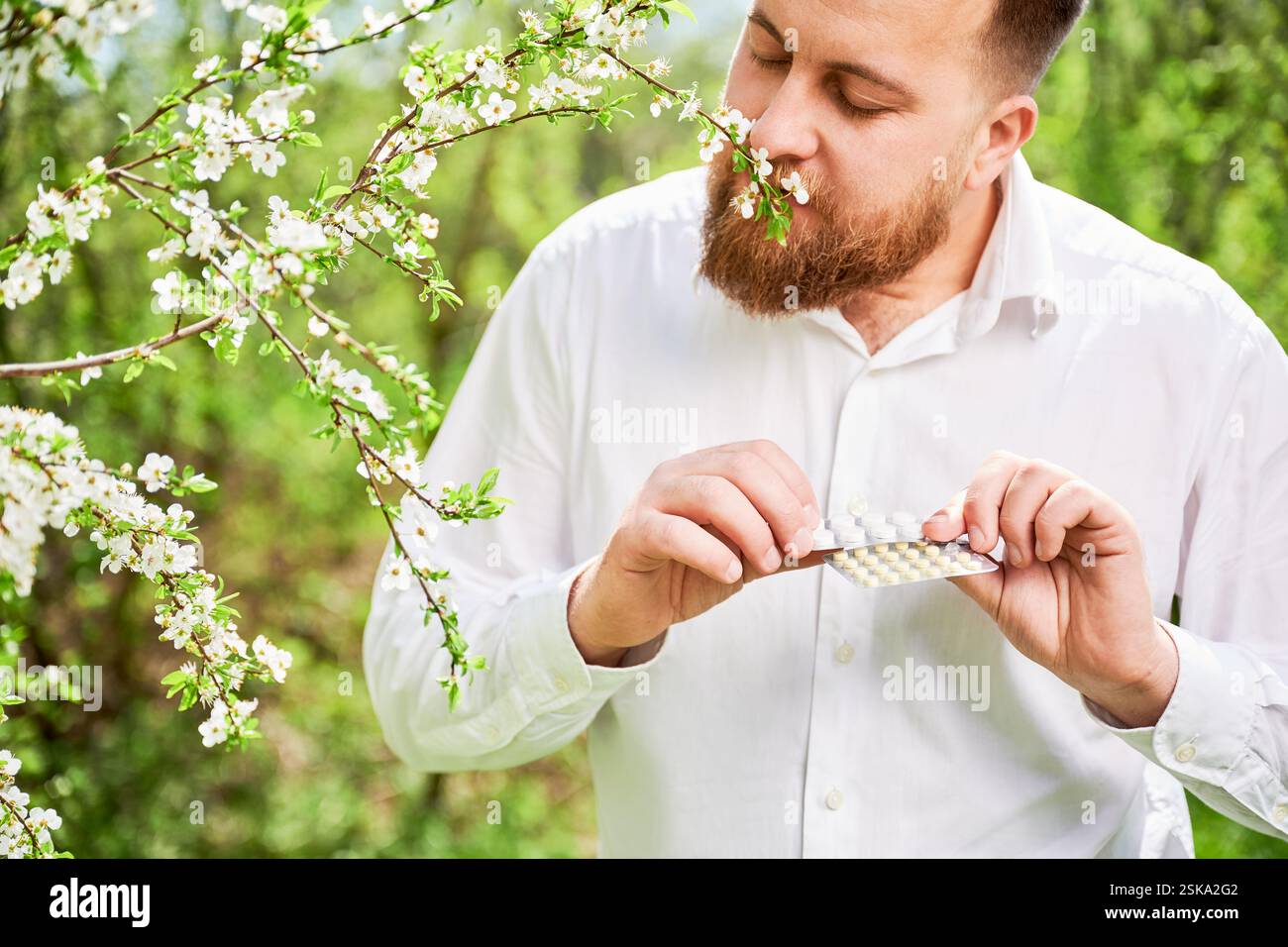 Sniff Spring Bearded sick man sniffing flowers hi-res stock photography and images ...