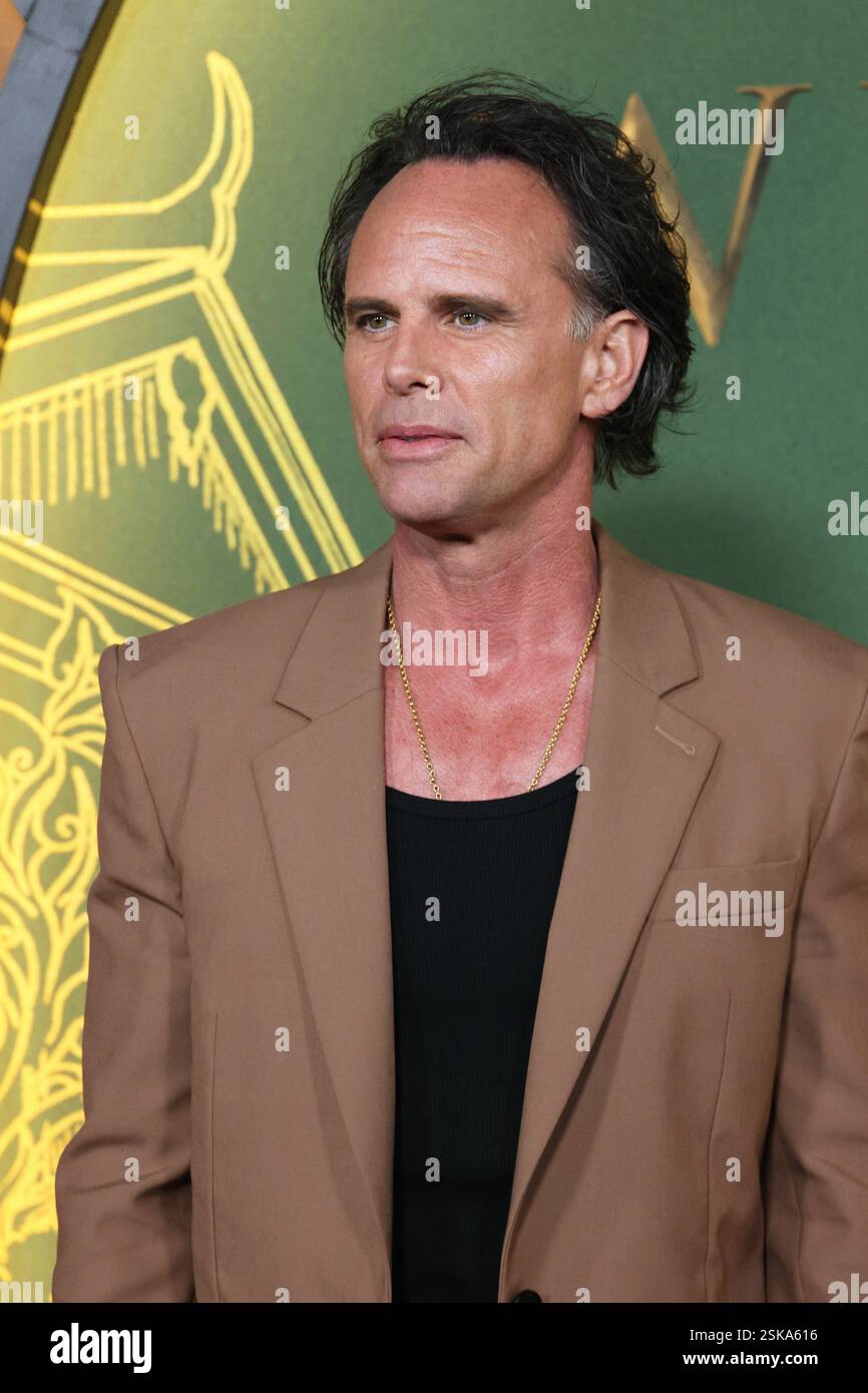 Los Angeles, USA. 11th Feb, 2025. Walton Goggins arrives at the Los
