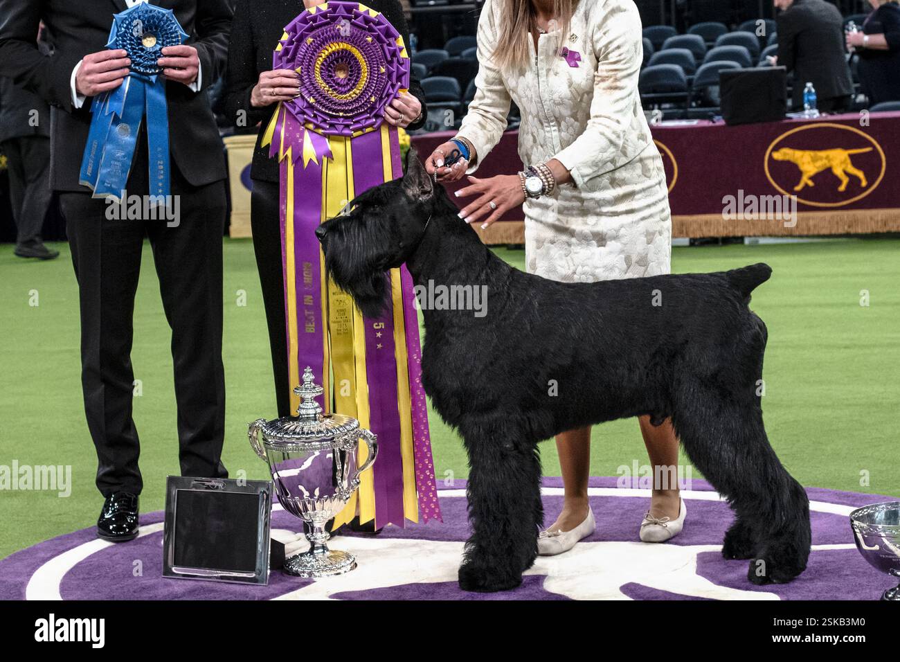 Monty, the Giant Schnauzer wins Best in Show with handler Kate Bernadin at The 2025 Westminster