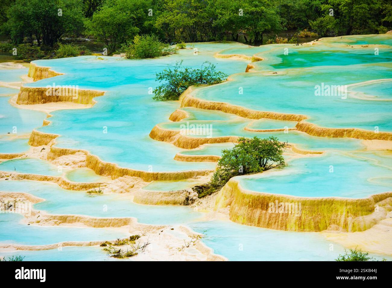 sichuan-huanglong-yaochi-and-spruce-forest-stock-photo-alamy