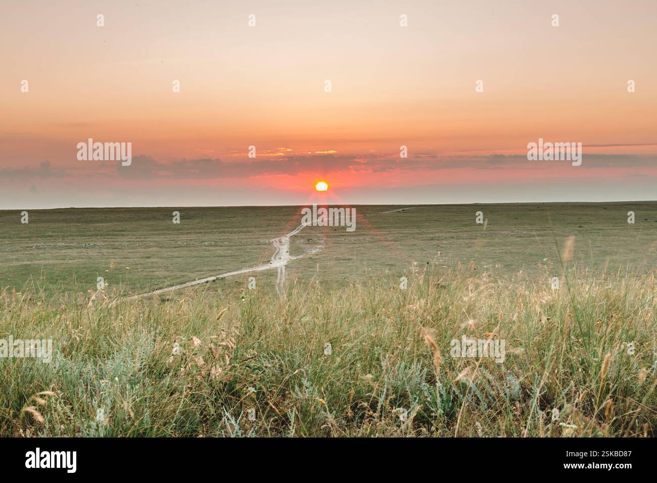Sunset over open grassland with winding path and distant clouds visible ...