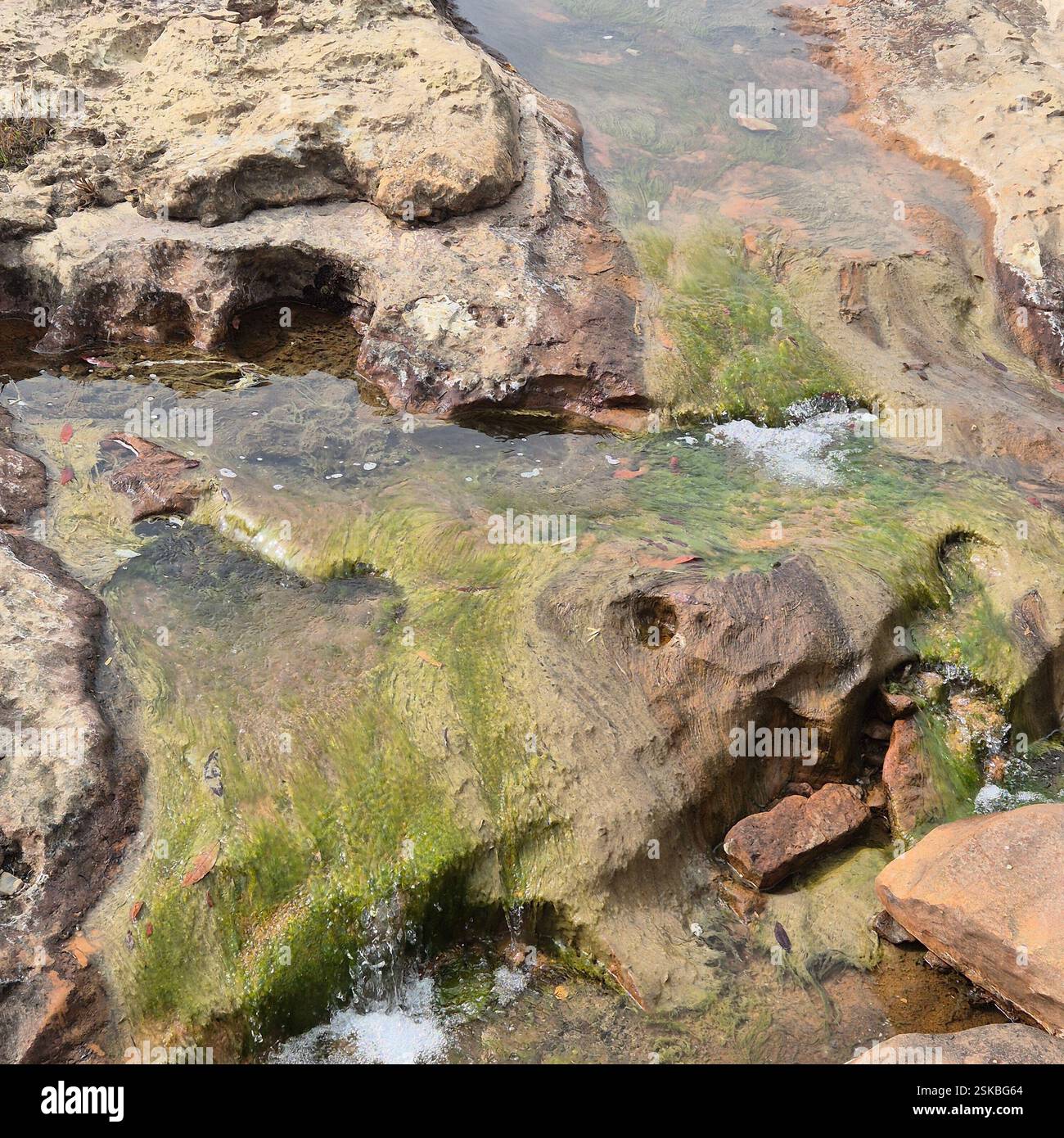 Hidden gem of nature, snuggled between mountains in Meghalaya. - Smartphone Captured Stock Image