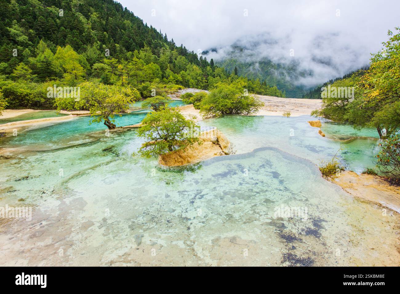 sichuan-huanglong-yaochi-and-spruce-forest-stock-photo-alamy