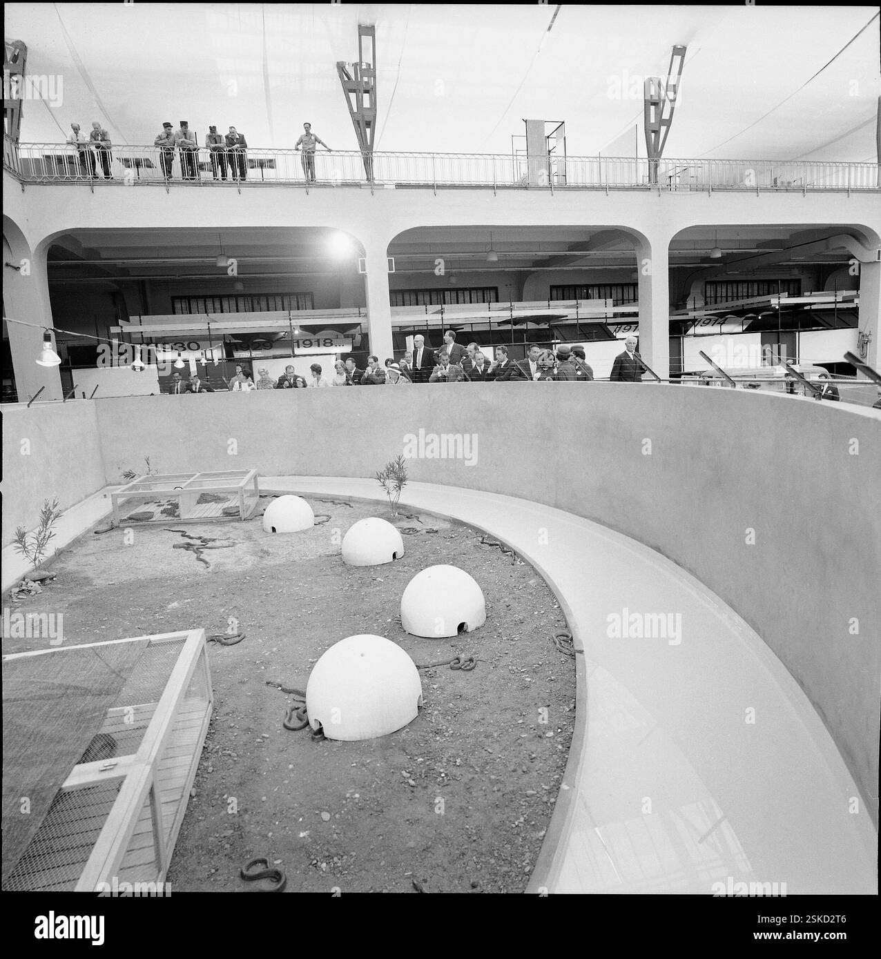 Schlangen zeigen thailand hi-res stock photography and images - Alamy