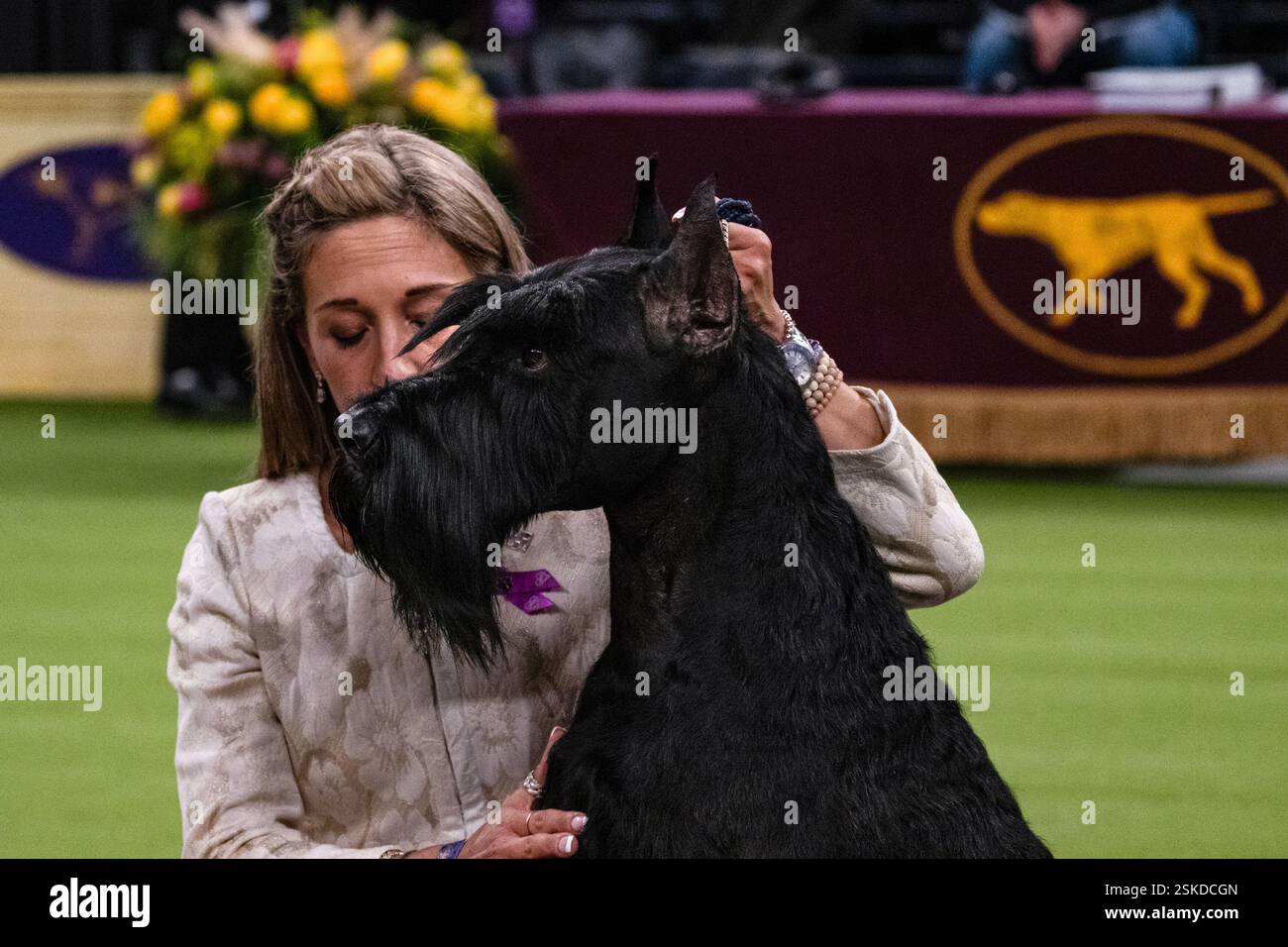 Monty, the Giant Schnauzer wins Best in at The 2025 Westminster Kennel Club Dog