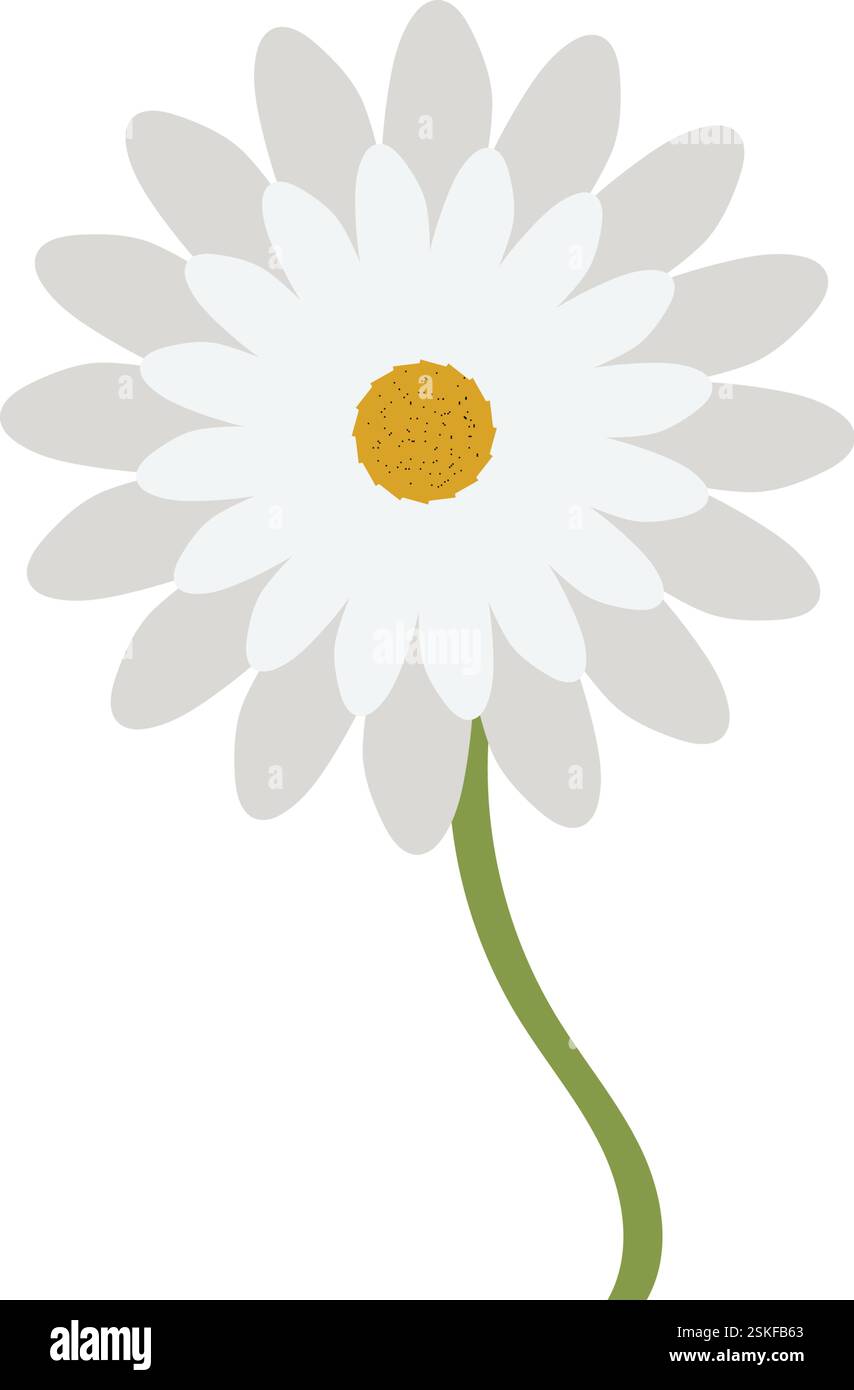 Bellis perennis daisy flower Stock Vector Images - Alamy