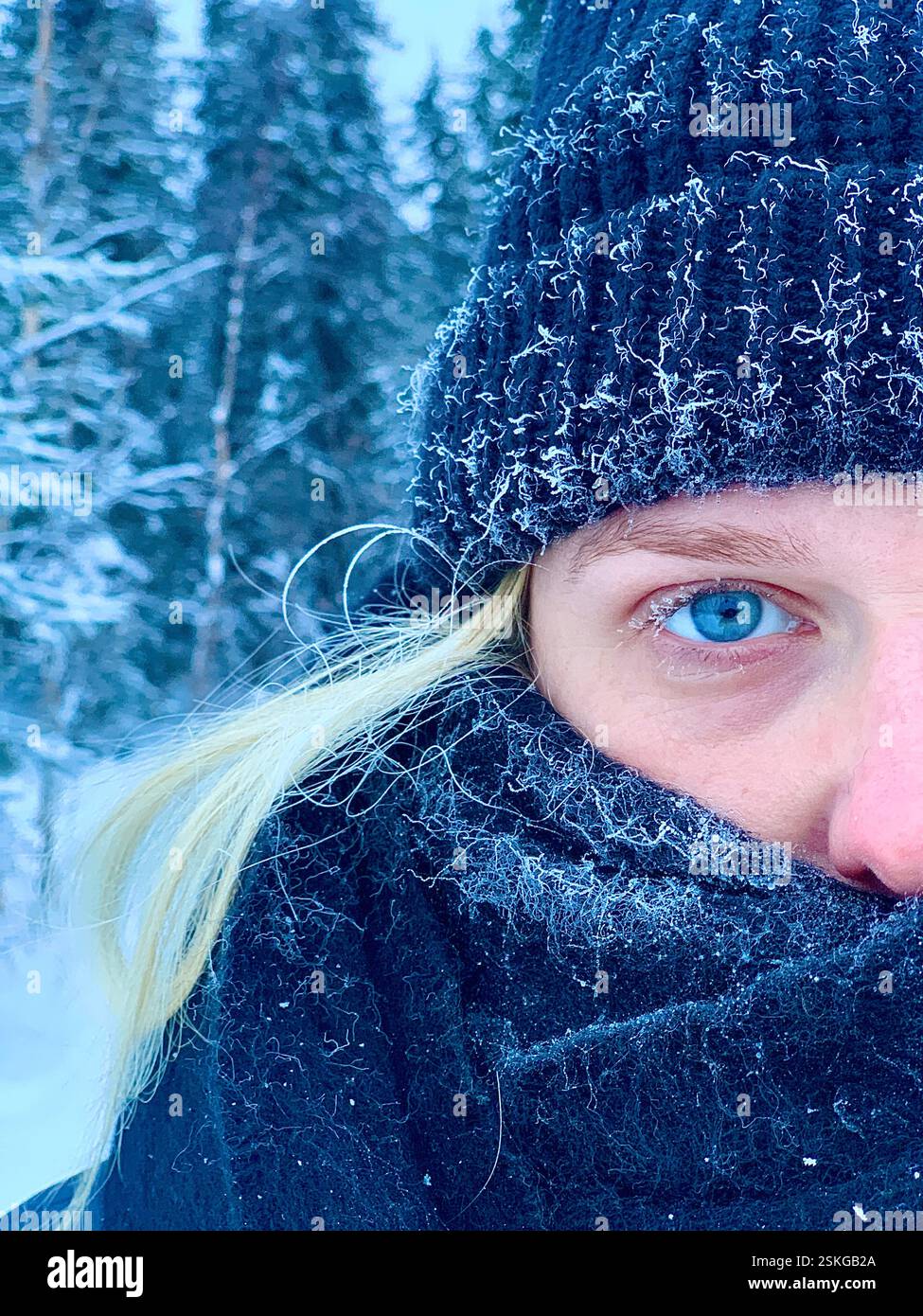 Alaska Fairbanks, Winter Wonderland - Smartphone Captured Stock Image