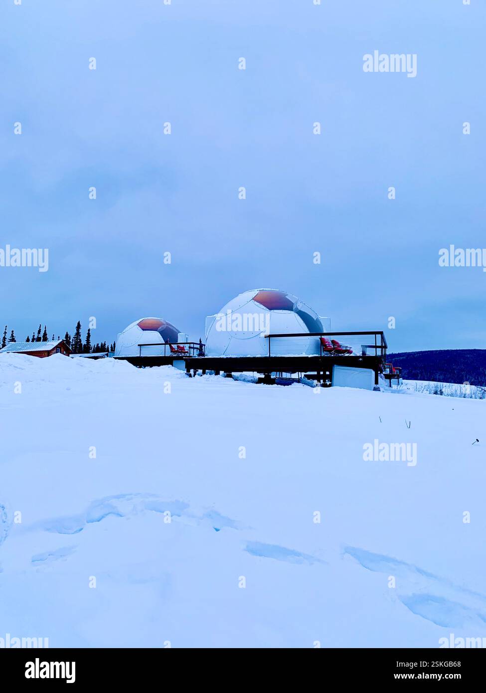 Alaska Fairbanks, Winter Wonderland - Smartphone Captured Stock Image
