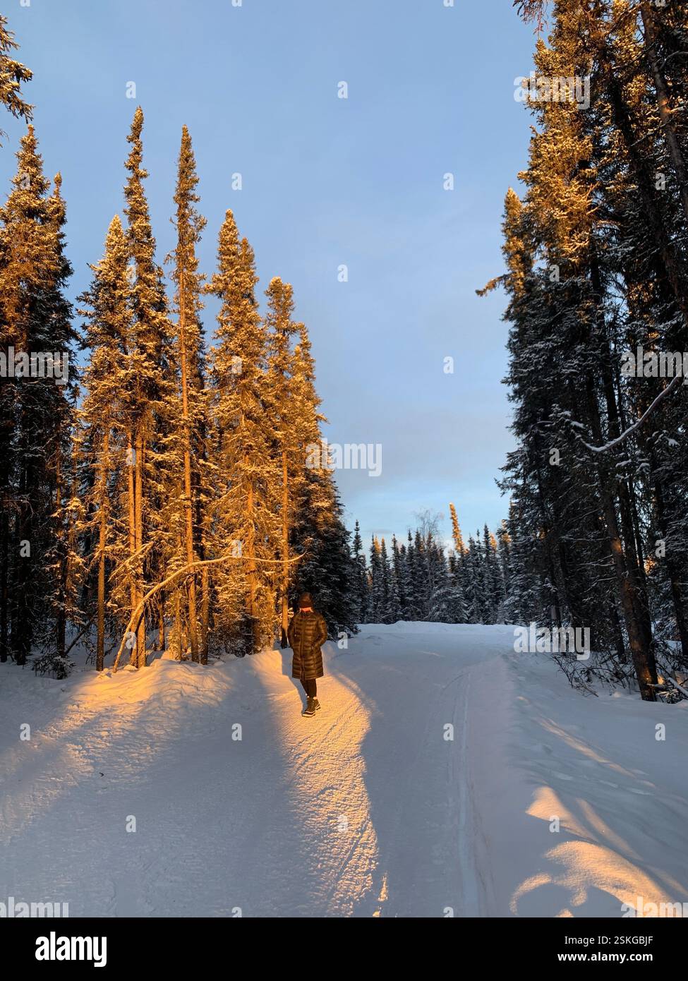 Alaska Fairbanks, Winter Wonderland - Smartphone Captured Stock Image