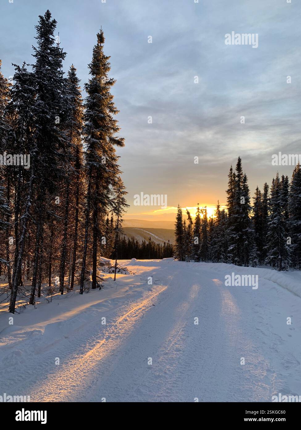 Alaska Fairbanks, Winter Wonderland - Smartphone Captured Stock Image
