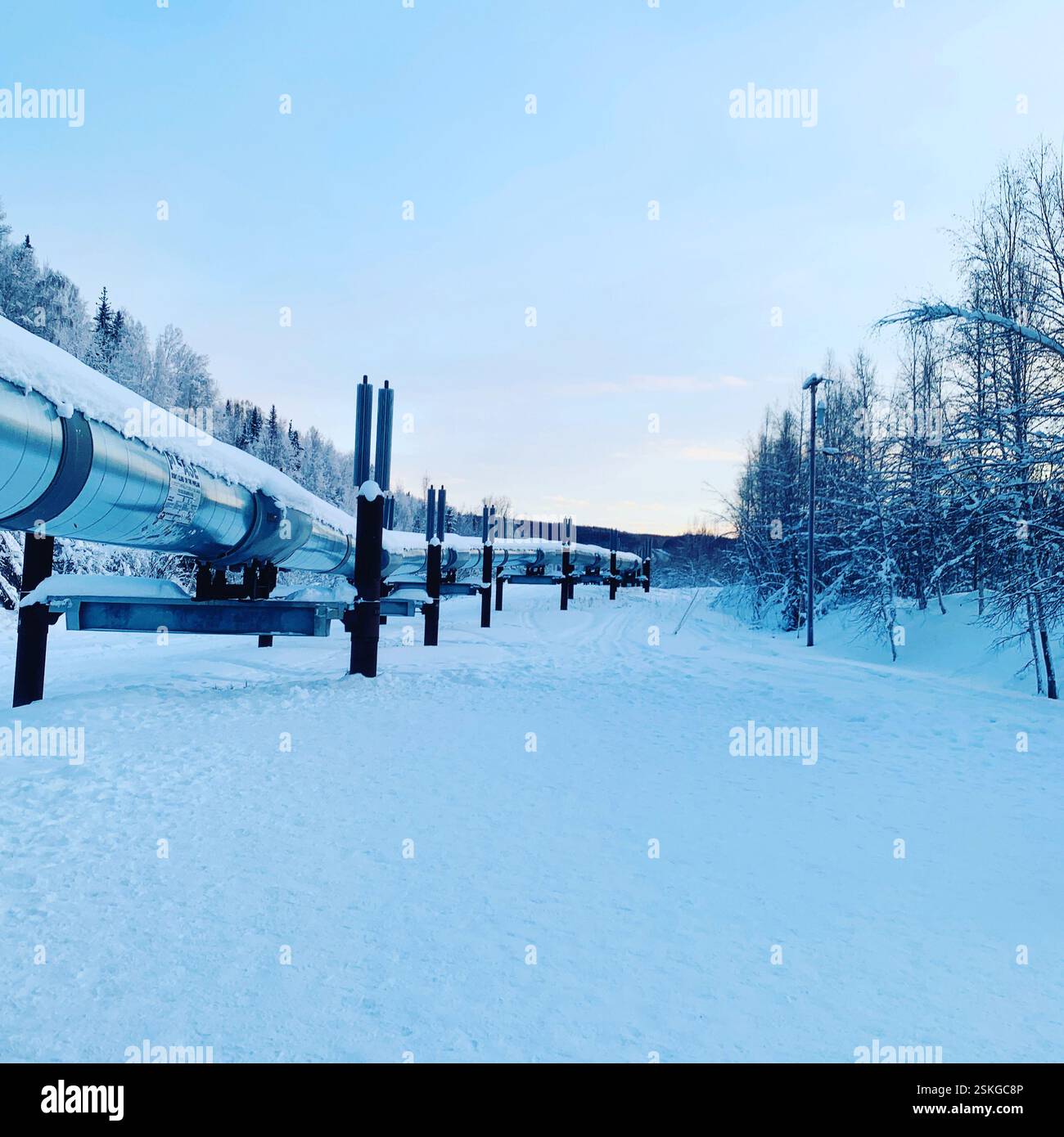 Alaska Fairbanks, Winter Wonderland - Smartphone Captured Stock Image