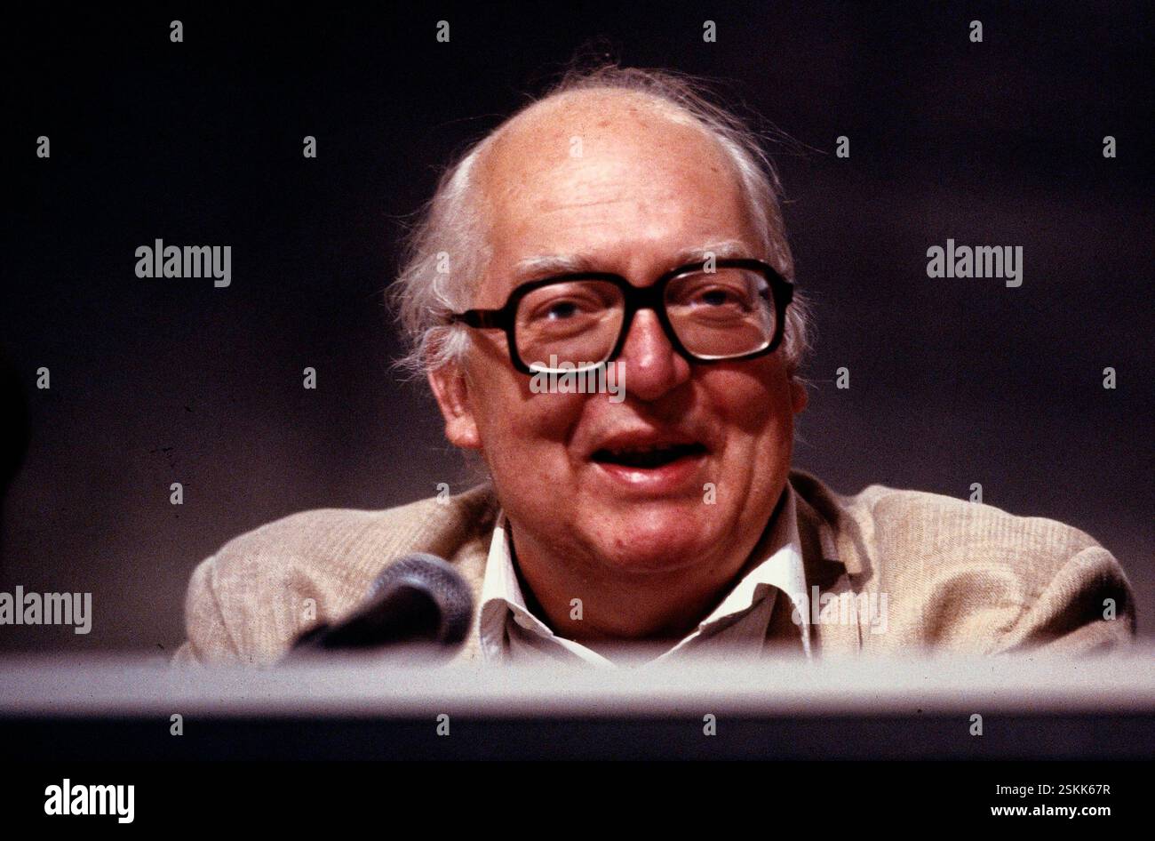 --- Friedrich Dürrenmatt 1988#Friedrich Duerrenmatt 1988 Stock Photo