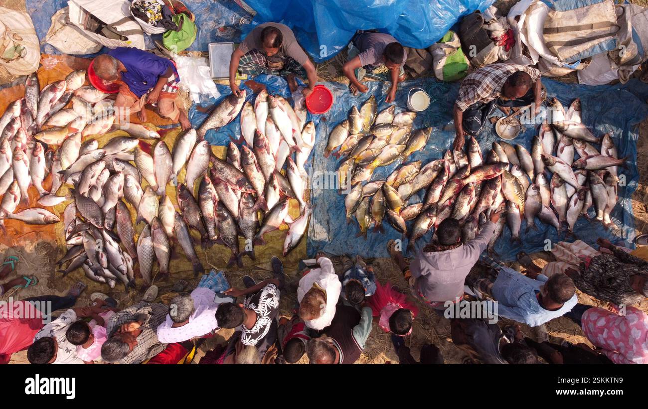 Bogra, Rajshahi, Bangladesh. 12th Feb, 2025. Hundreds of fish are laid ...