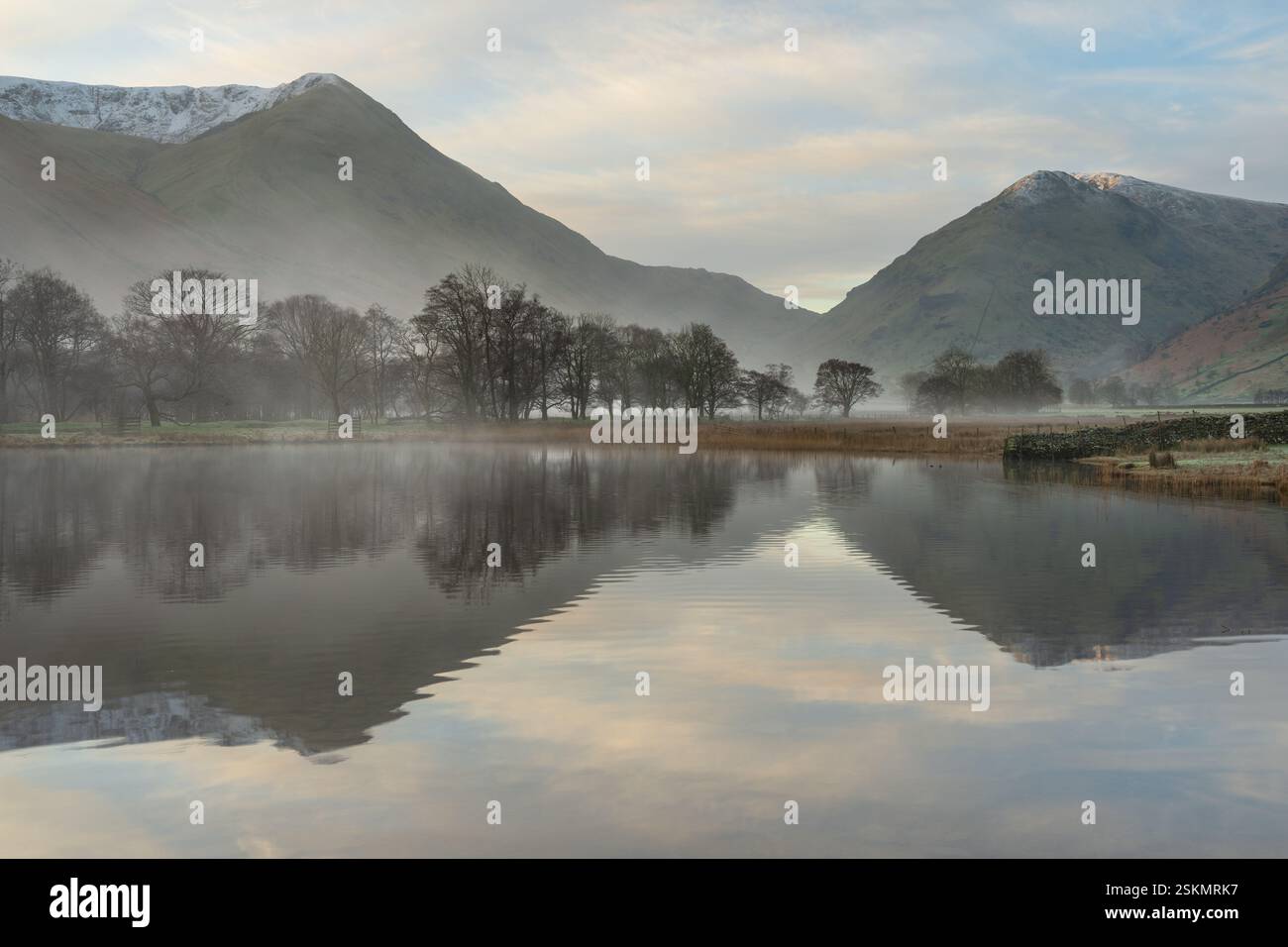 Misty calm morning with trees on lake shoreline and mountains in ...