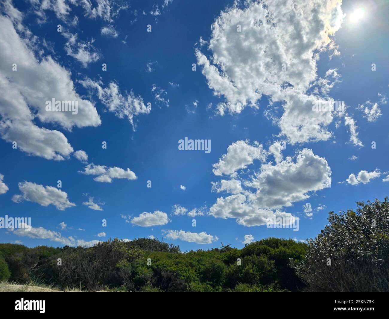 fluffy white clouds floating against a blue sky above luscious greenery - Smartphone Captured Stock Image