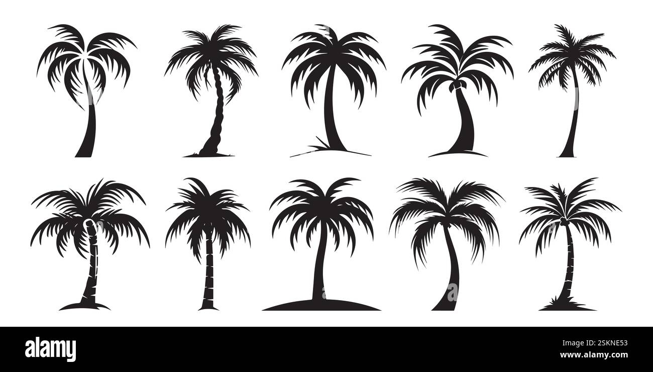 Coconut Tree Drawing Black And White