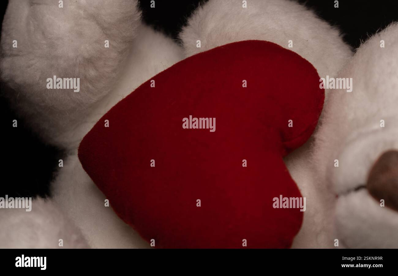 White stuffed teddy bear lying on the floor with large red heart. Love concept, valentines day. Stock Photo