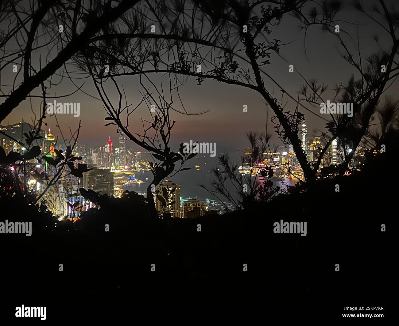 Night view over the Hong Kong skyline through the forest - Smartphone Captured Stock Image