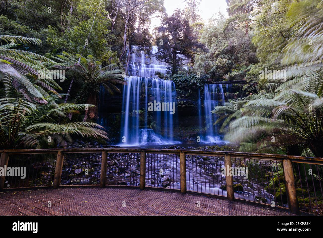 Mt Field National Park in Tasmania Australia Stock Photo - Alamy