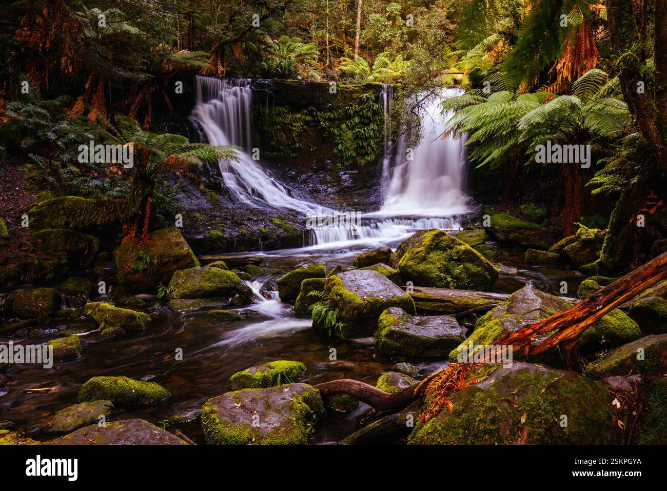 Horseshoe Falls in Mt Field National Park Tasmania Australia Stock ...