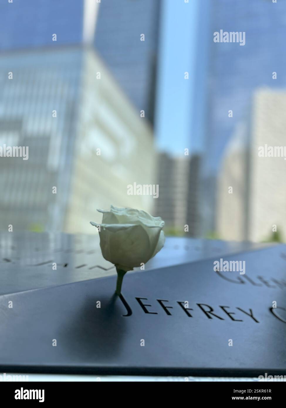 rose on 9/11 memorial - Smartphone Captured Stock Image