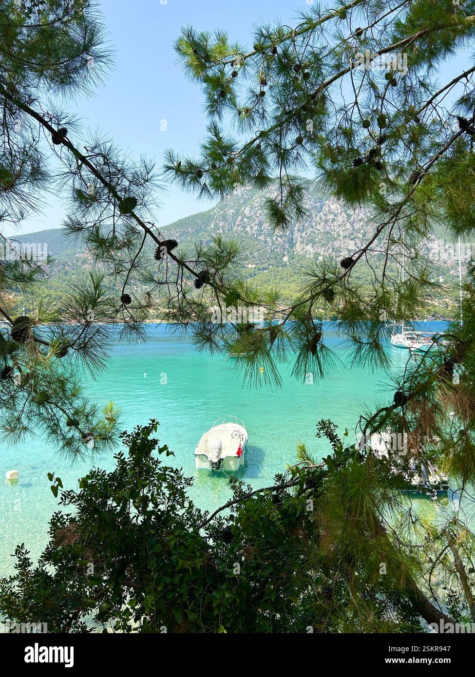 Beautiful view of the crystal clear blue waters of the Mediterranean Sea through the branches of a pine tree - Smartphone Captured Stock Image