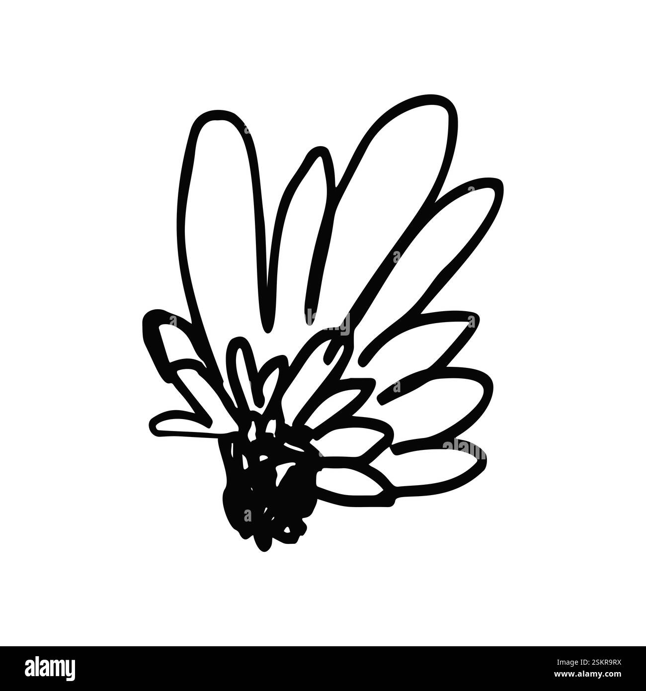 Hand drawn black ink abstract daisy flower isolated on white background ...