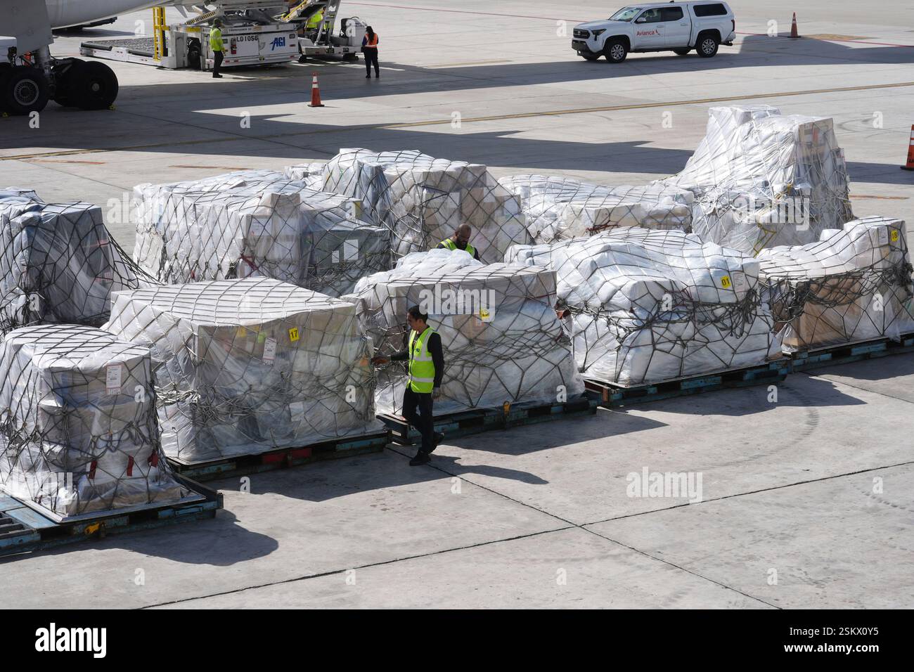 An air cargo employee checks pallets of imported items from South ...