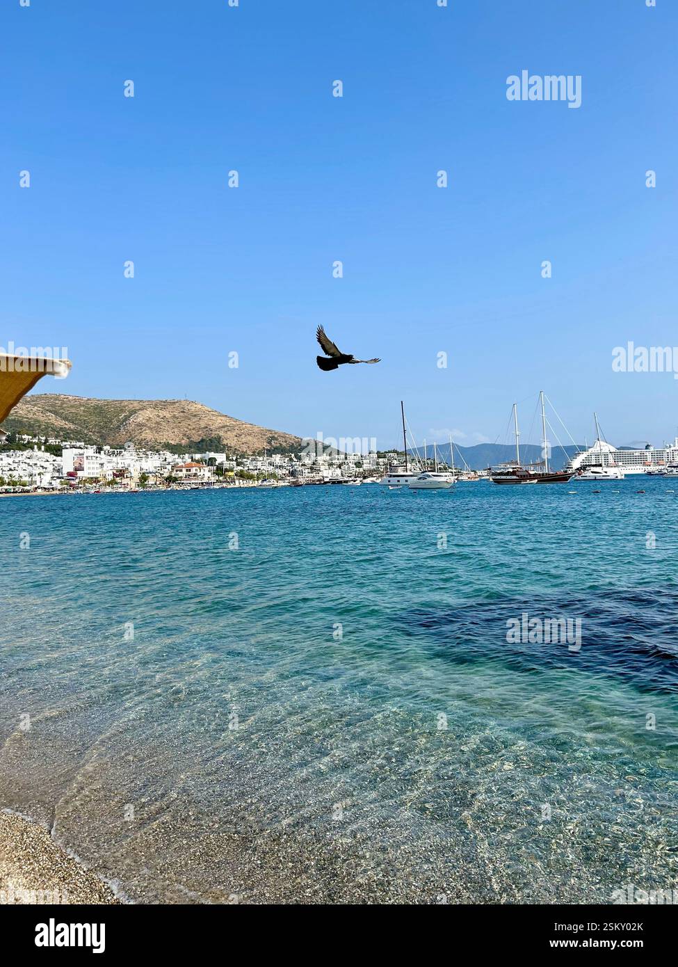 View of the beautiful blue Mediterranean Sea with a bird mid flight - Smartphone Captured Stock Image