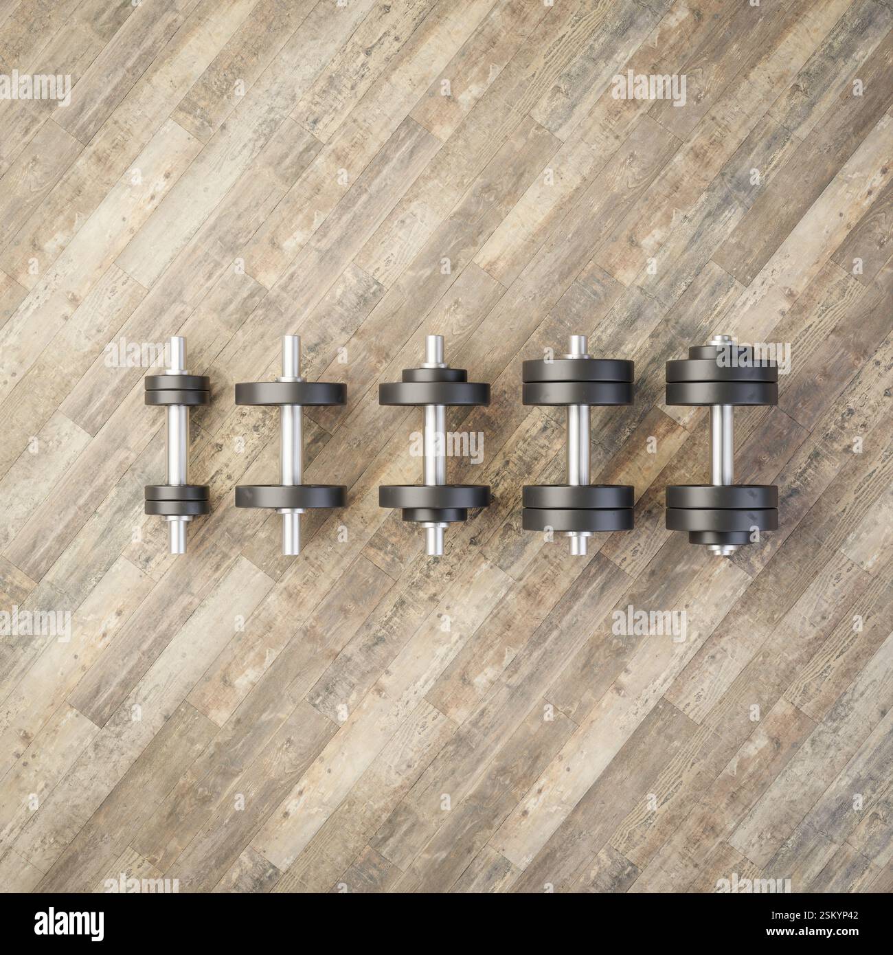 several-dumbbells-in-a-row-with-incremental-weights-on-a-hardwood-floor