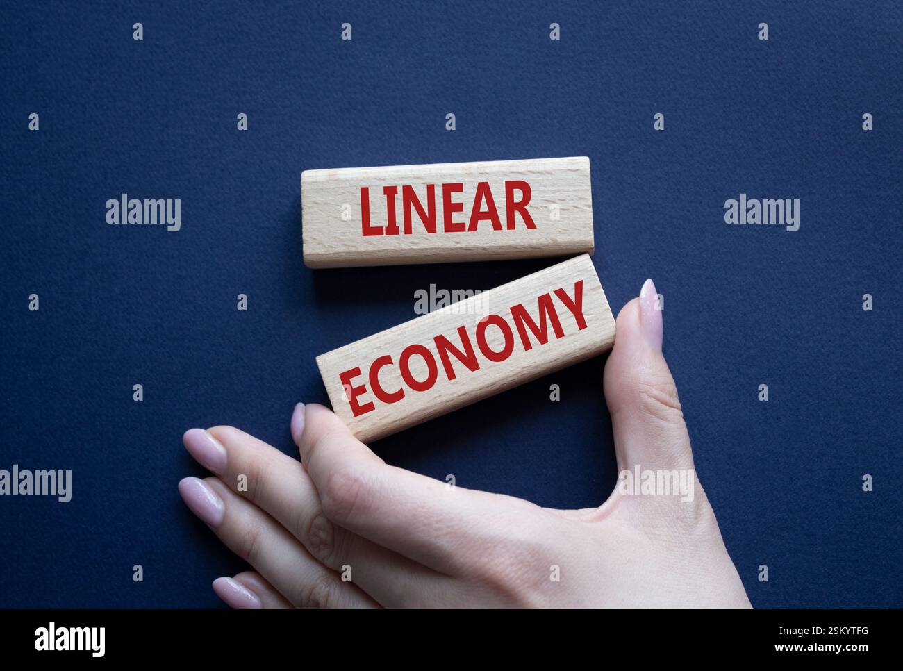 Linear Economy symbol. Concept words Linear Economy on wooden blocks ...