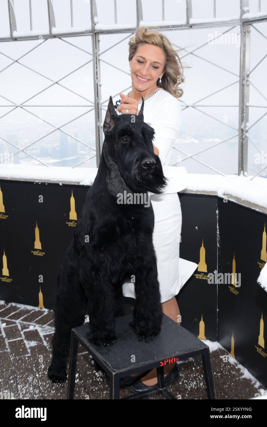 New York, USA. 12th Feb, 2025. Monty the Giant Schnauzer, Westminster Best in Show Winner, with