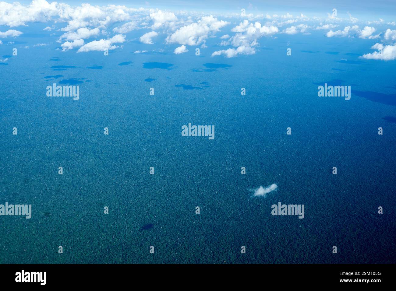 Amazon rainforest aerial hi-res stock photography and images - Alamy