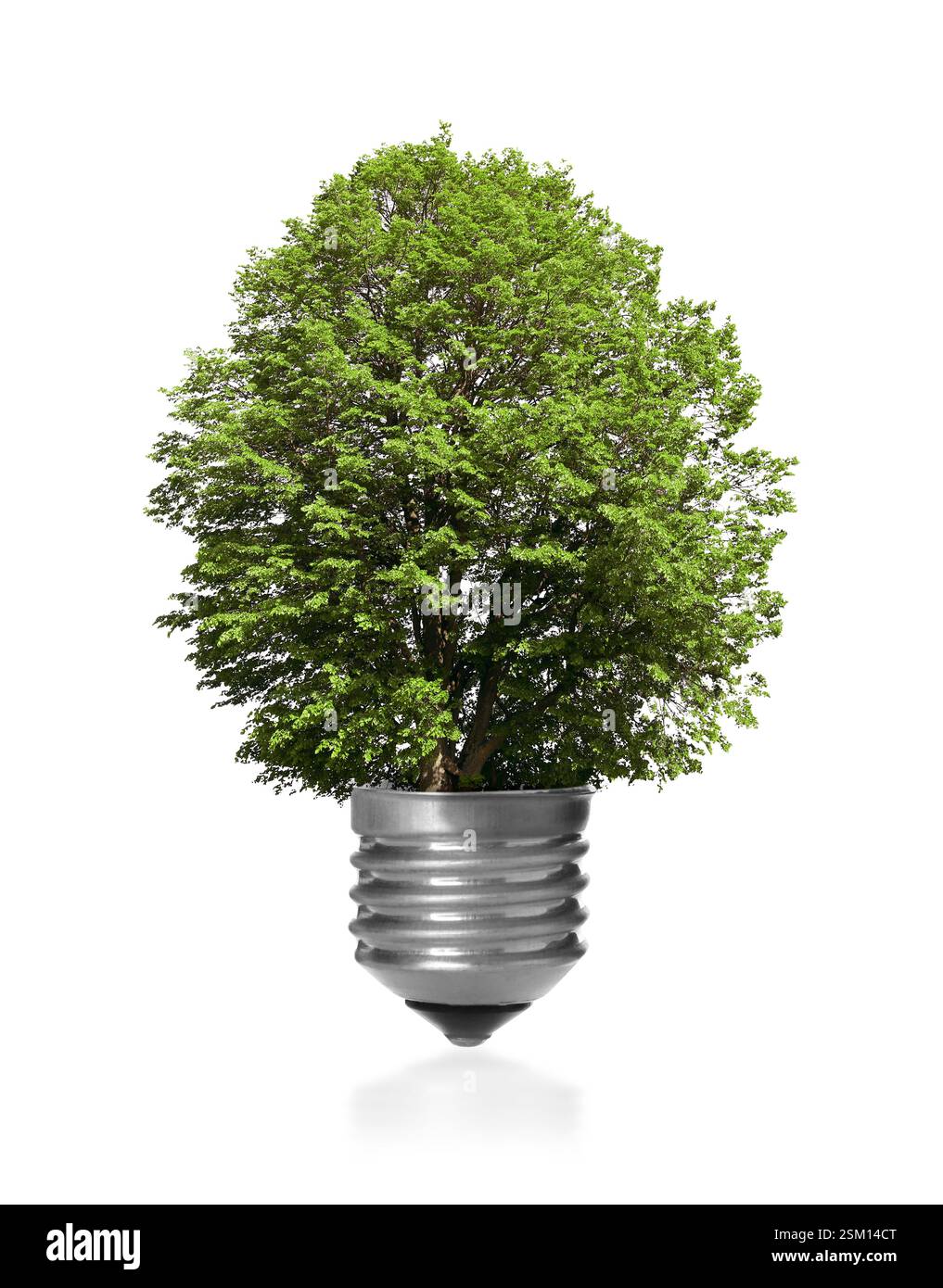 Light bulb with lush tree instead of glass on white background. Green ...