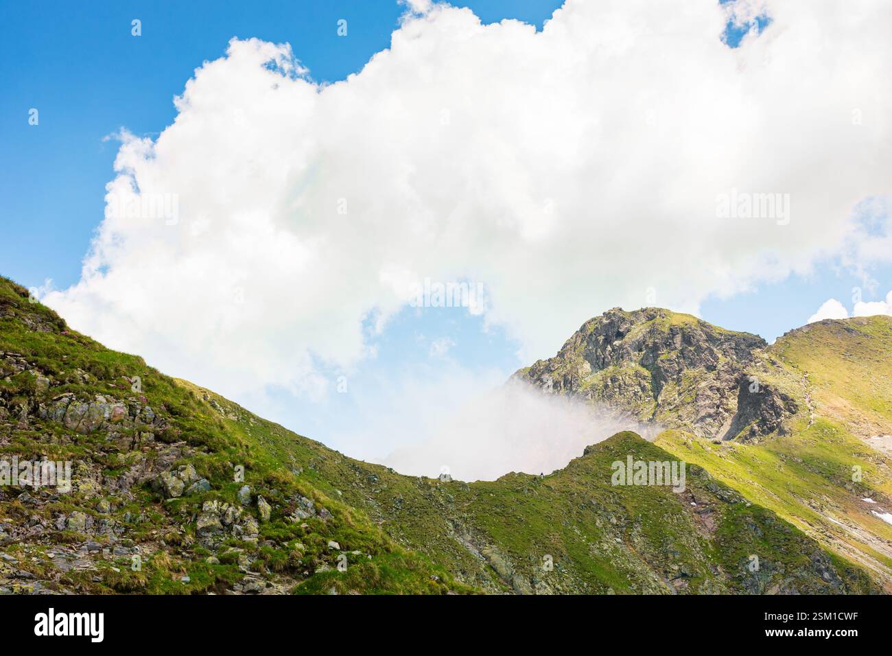 landscape of fagaras mountains in summer. beautiful nature scenery of romania. steep slope, grassy hillside and rocky peak on a sunny day with clouds Stock Photo