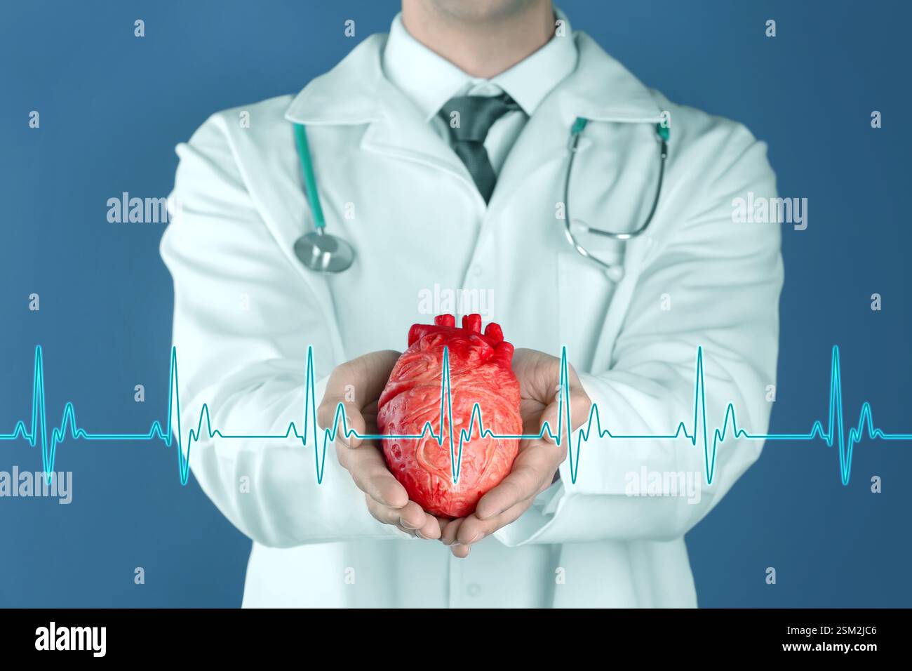 Heart Doc Cardiology. Doctor holding anatomical model of heart on color ...