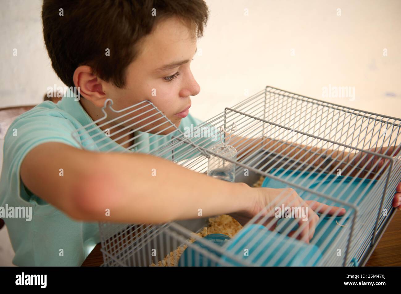 Thumbnail for Hamster Responsibility
