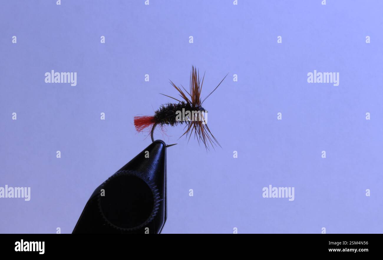 Classic Red Tag wet fly tied with brown rooster hackle, pheasant ...