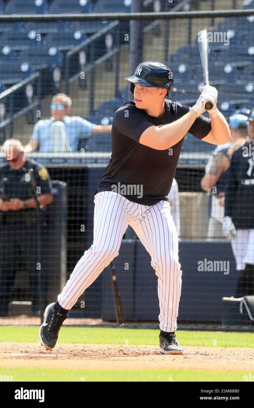 TAMPA, FL - FEBRUARY 12: New York Yankees Catcher Ben Rice (93) at bat ...