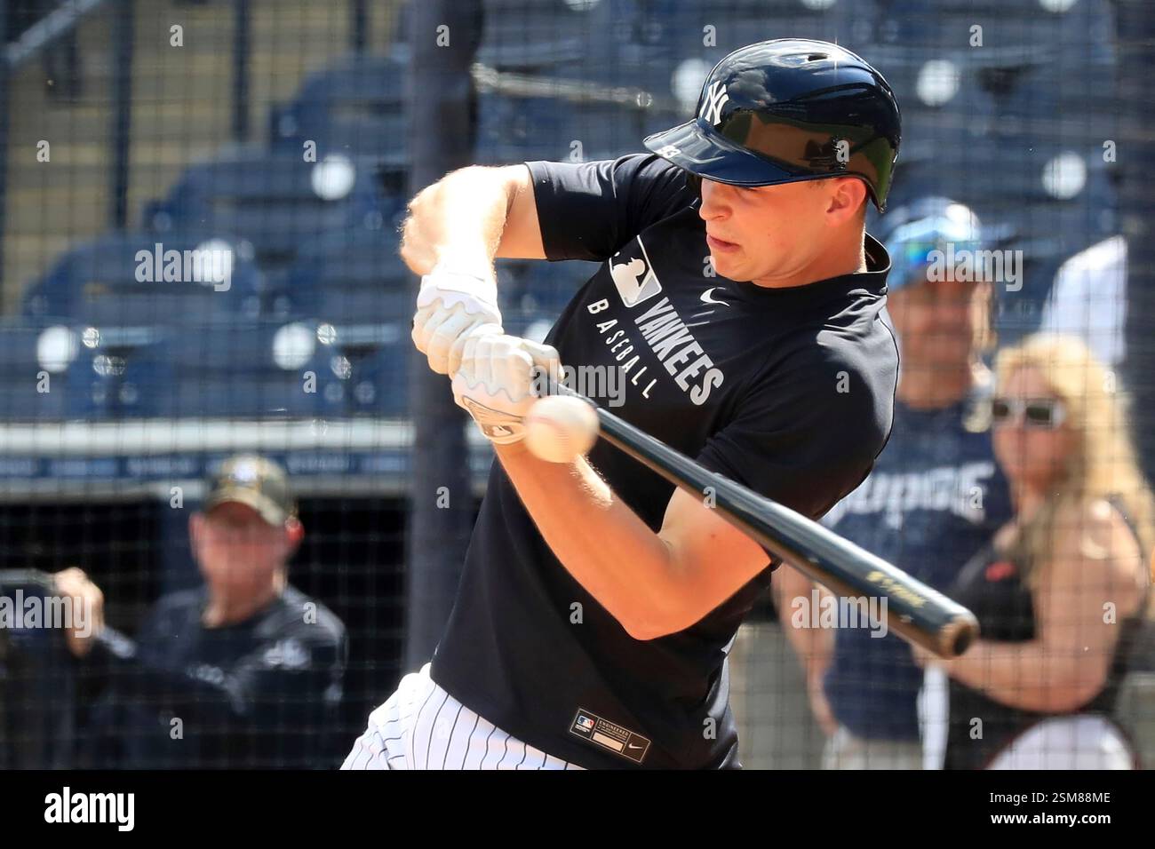 TAMPA, FL - FEBRUARY 12: New York Yankees Catcher Ben Rice (93) at bat ...