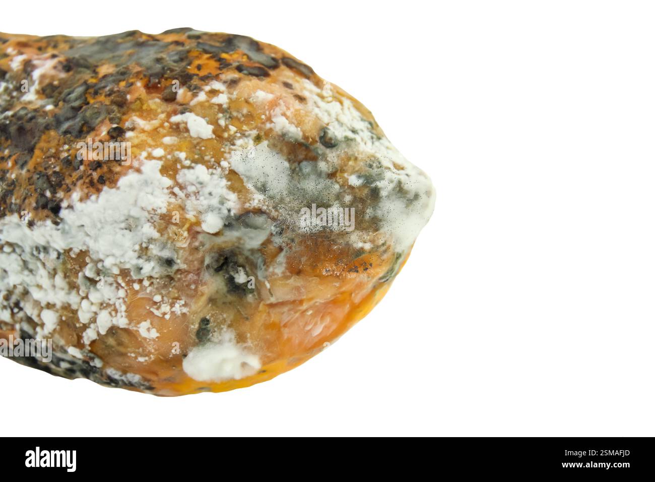 rotten papaya isolate on white background Stock Photo